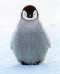 It's so FLUFFY!!!!